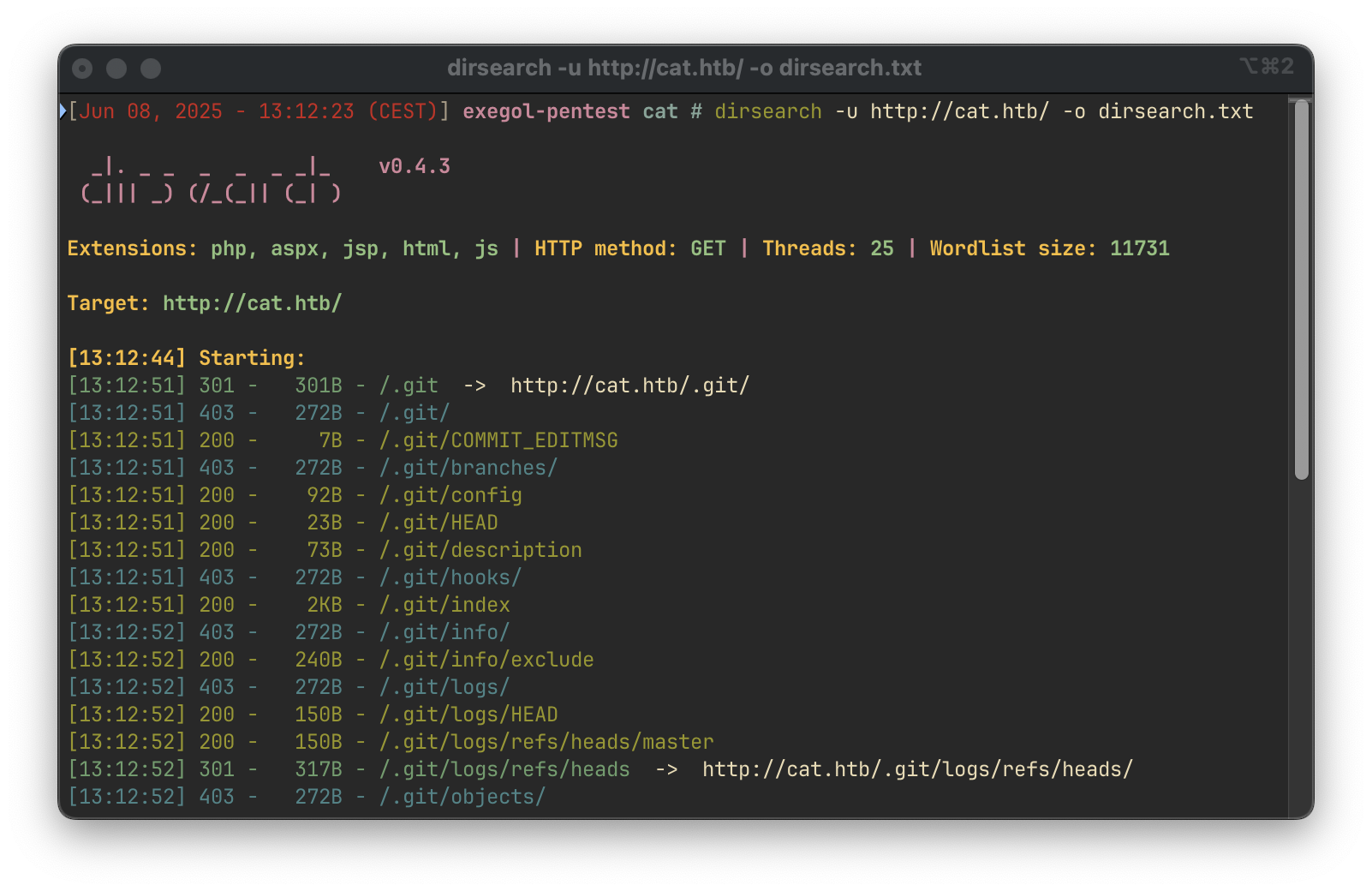 Dirsearch Output