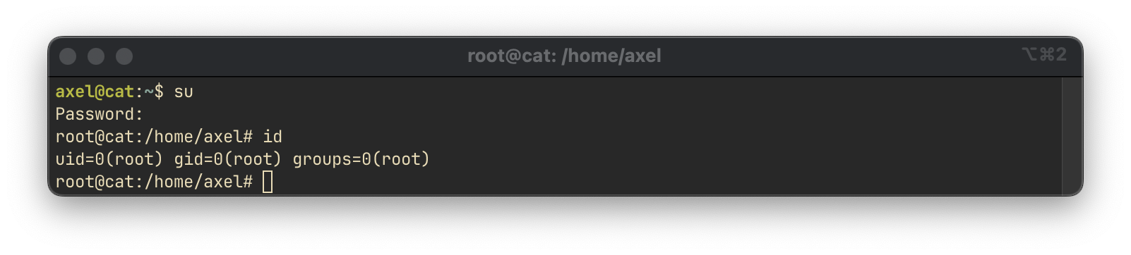 Root shell