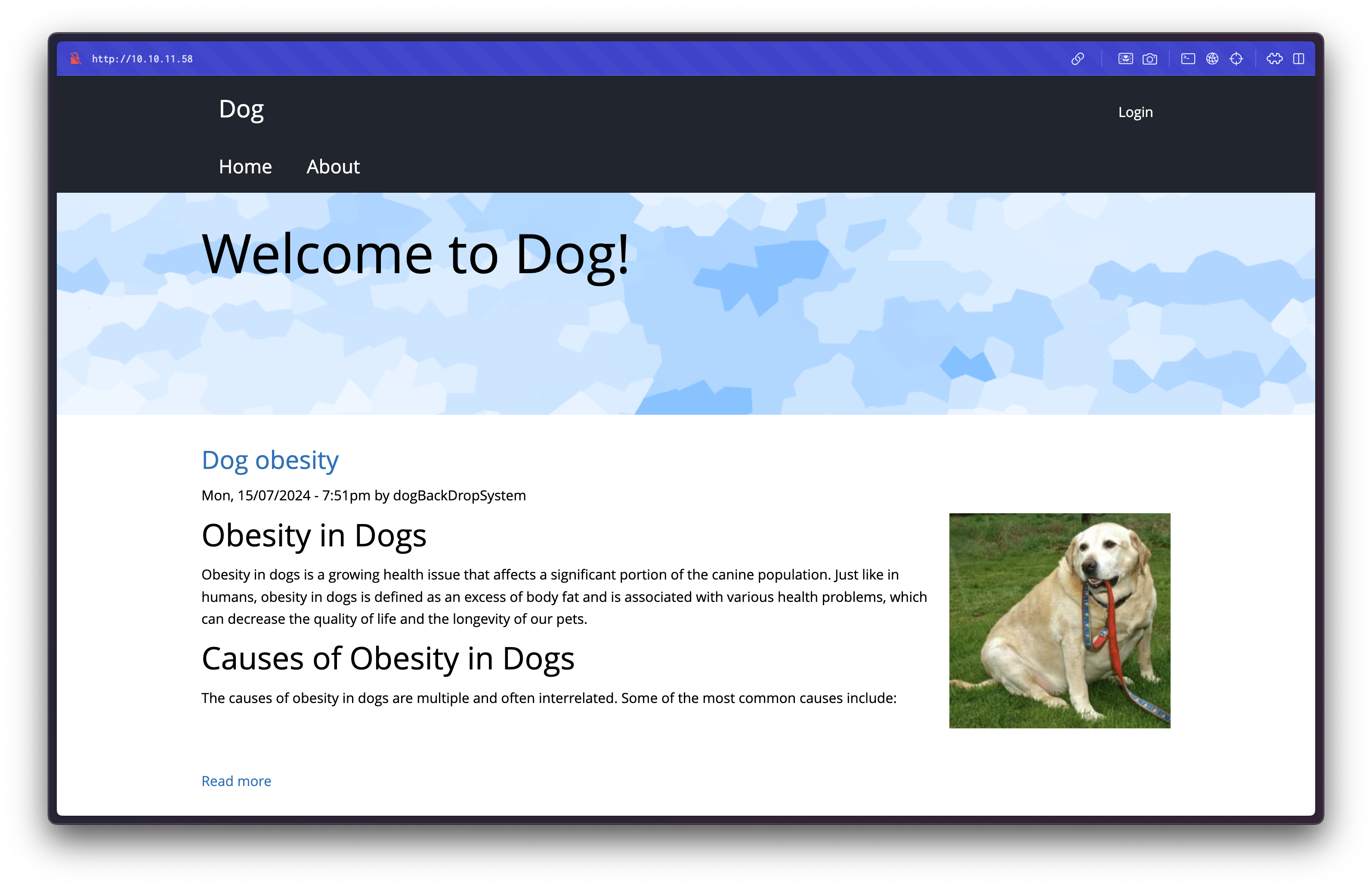 Dog - Backdrop CMS