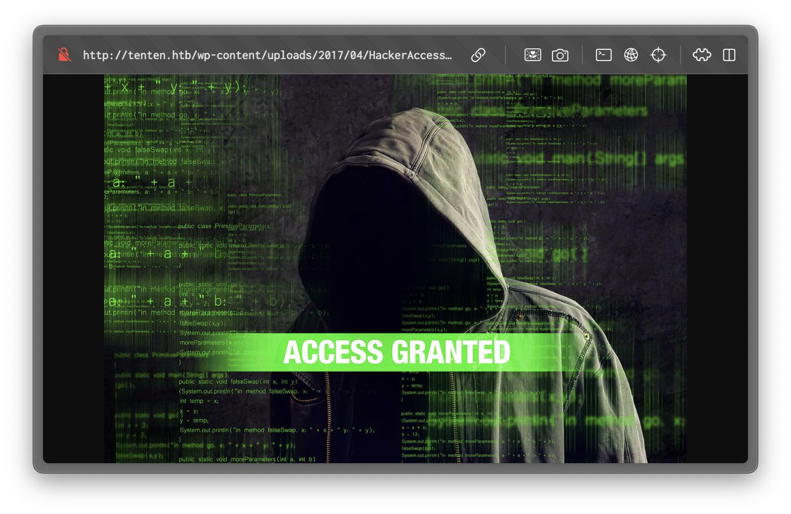 Tenten HackerAccessGranted