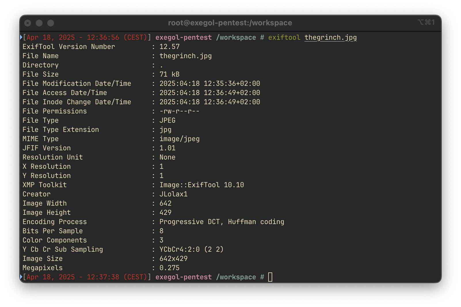 Exiftool Output