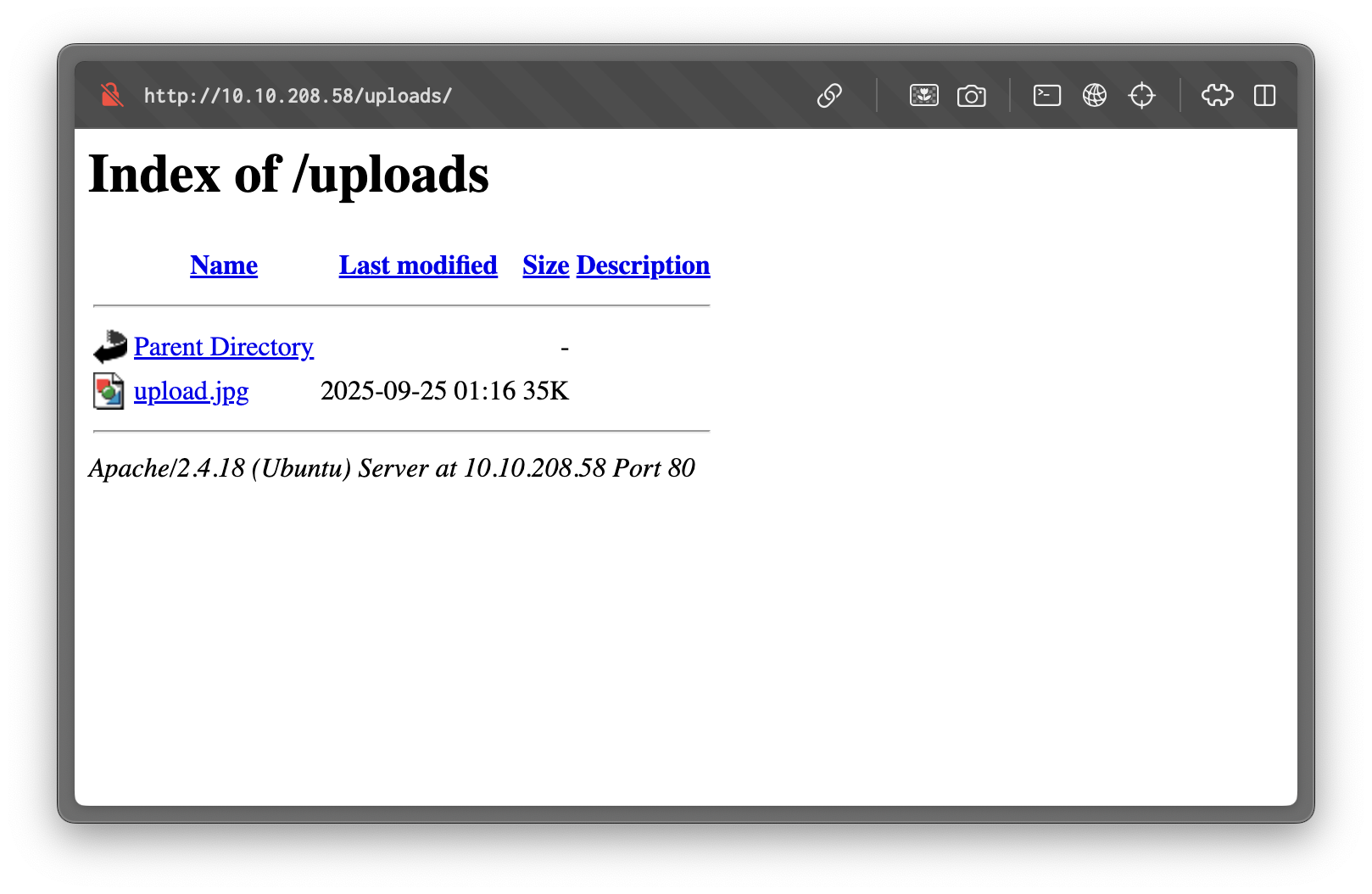 Uploaded file
